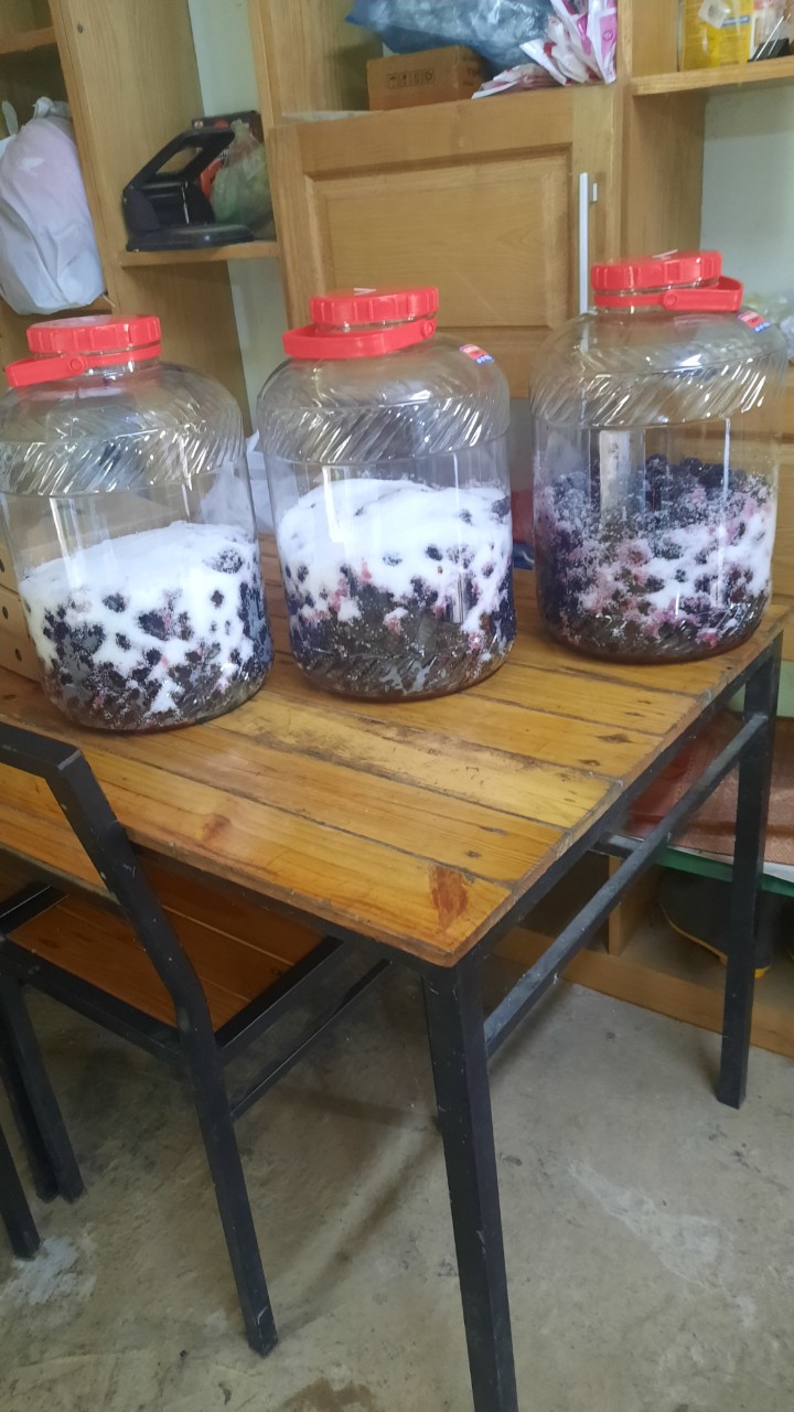 Product Info Image 14